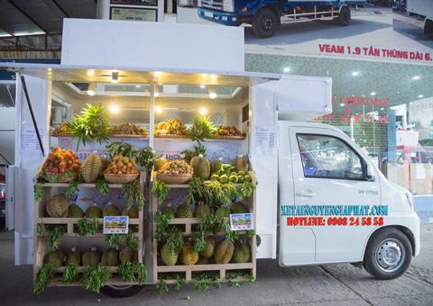 Xe tải đóng thùng bán trái cây lưu động