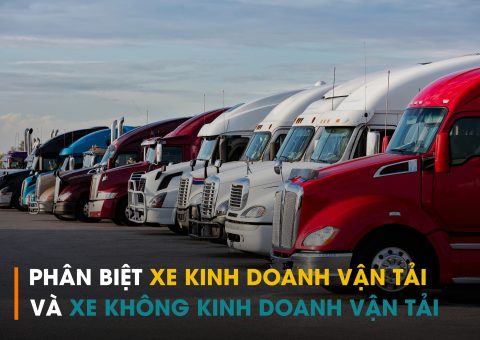 Phân biệt xe kinh doanh vận tải và xe không kinh doanh vận tải