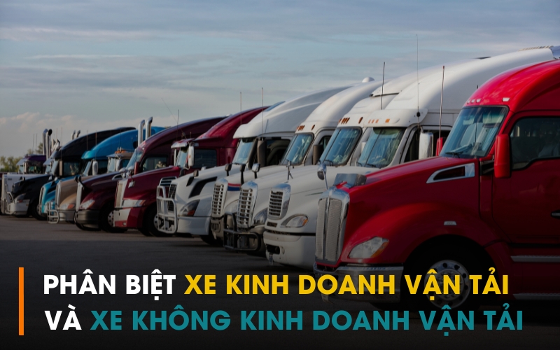 Phân biệt xe kinh doanh vận tải và xe không kinh doanh vận tải