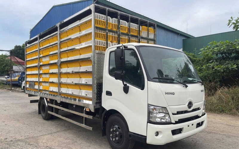 Ngoại thất Hino 3.5 tấn