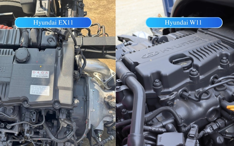 Động cơ W11 và EX11